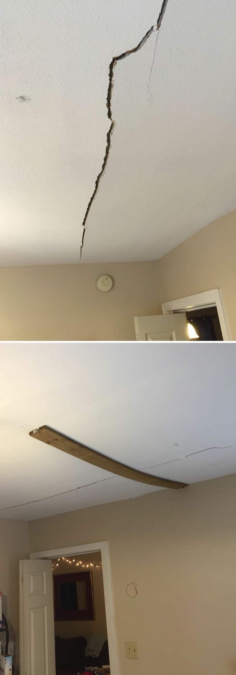 35 photos about what kind of horror you can meet in rented apartments