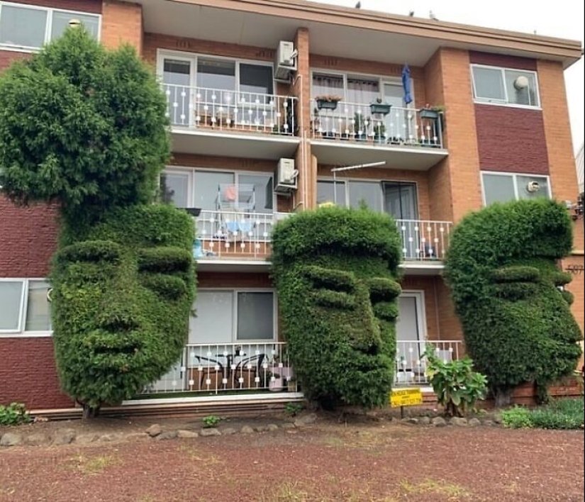 35 Times People Went Out Of Their Way To Make Their Gardens And Yards Unique But Ended Up With These