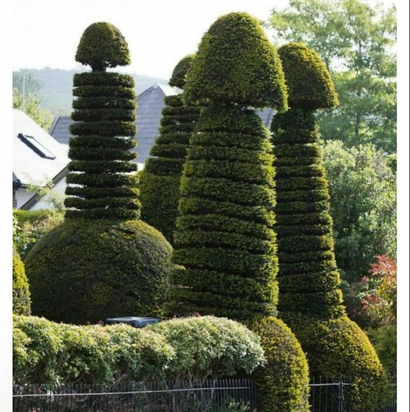 35 Times People Went Out Of Their Way To Make Their Gardens And Yards Unique But Ended Up With These