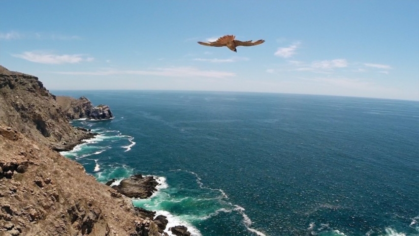 36 increíbles fotos del primer concurso de fotografía con drones