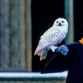 4 cosas que inspiraron a JK Rowling a escribir Harry Potter