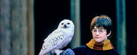 4 things that inspired JK Rowling to write Harry Potter