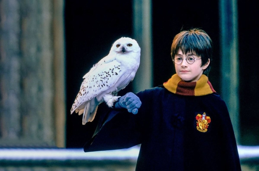 4 things that inspired JK Rowling to write Harry Potter - Pictolic