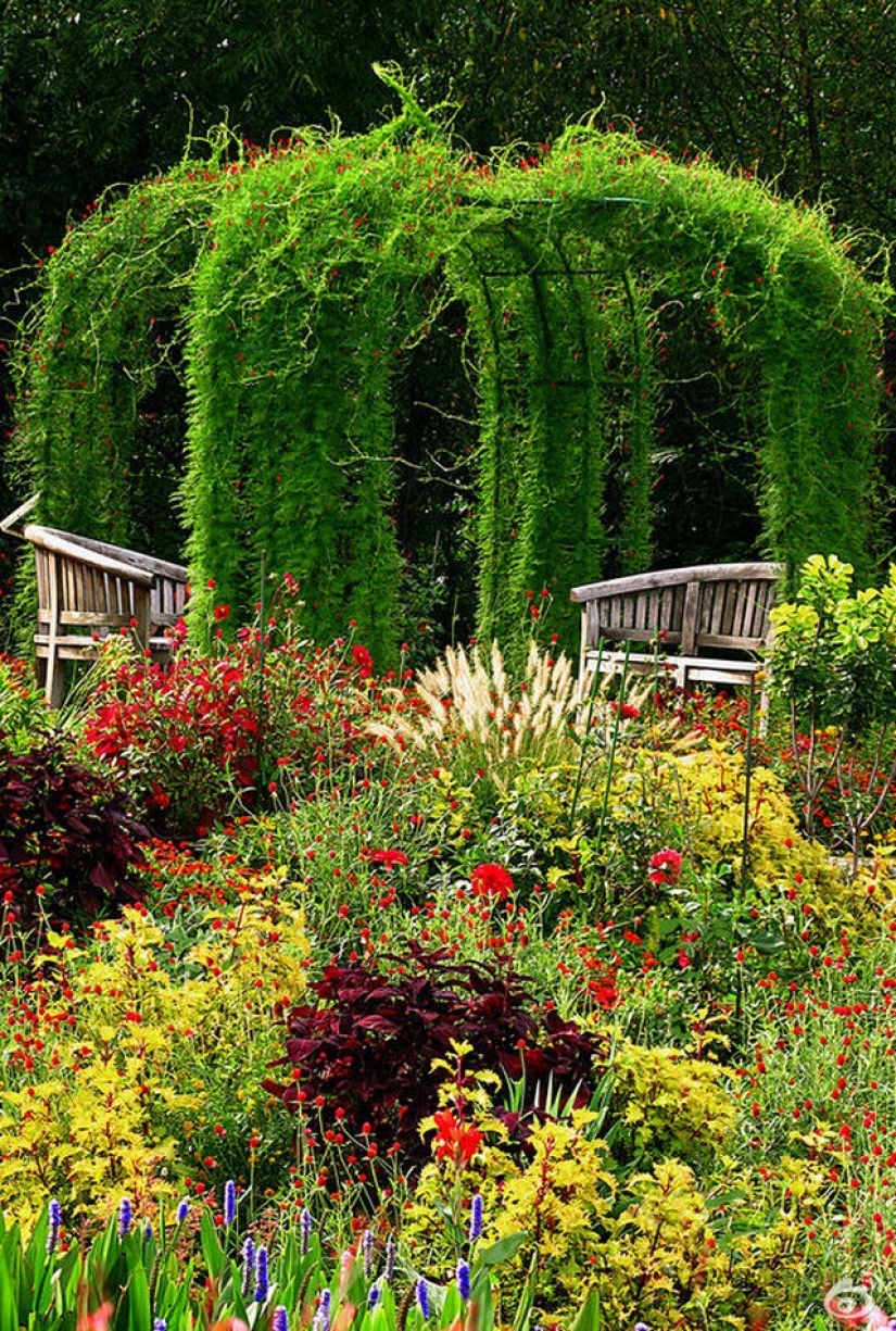 40 most beautiful country arbors