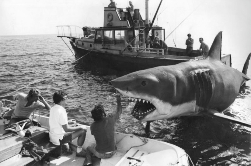 40th Anniversary of Steven Spielberg&#39;s Jaws! [Part 2]
