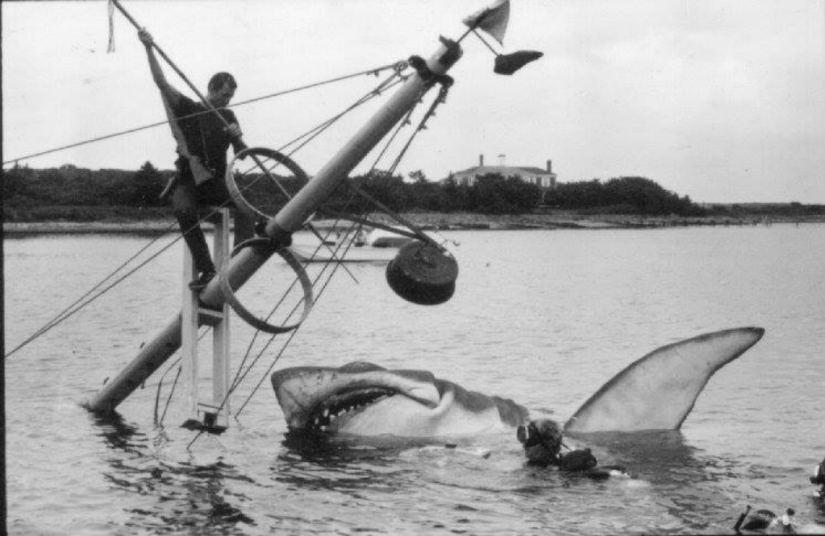 40th Anniversary of Steven Spielberg&#39;s Jaws! [Part 2]