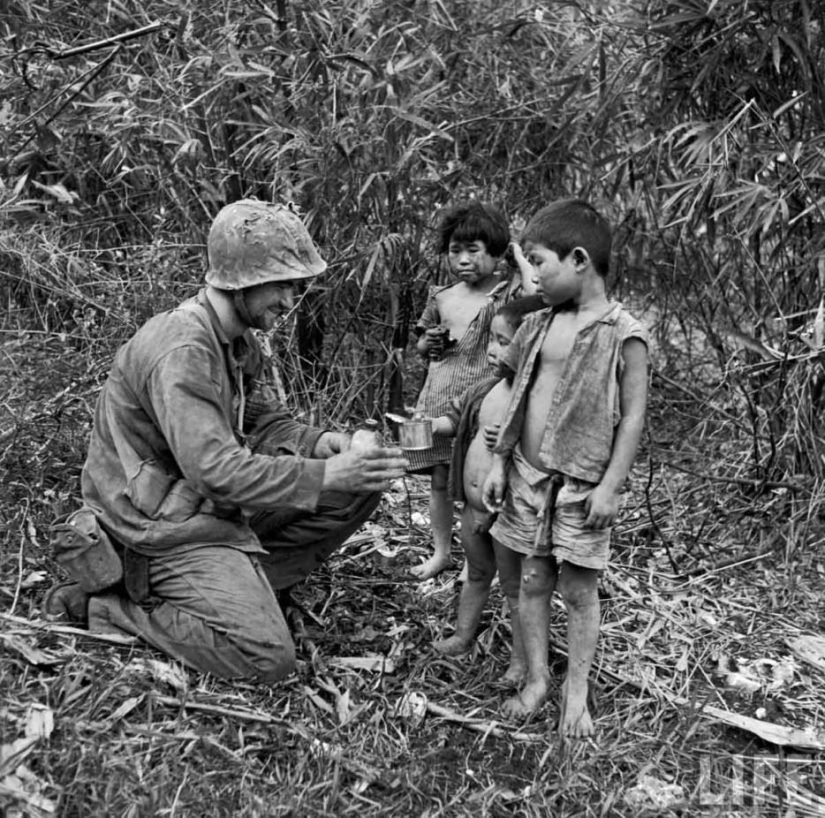 41 ejemplos de preservación de la humanidad frente al peligro