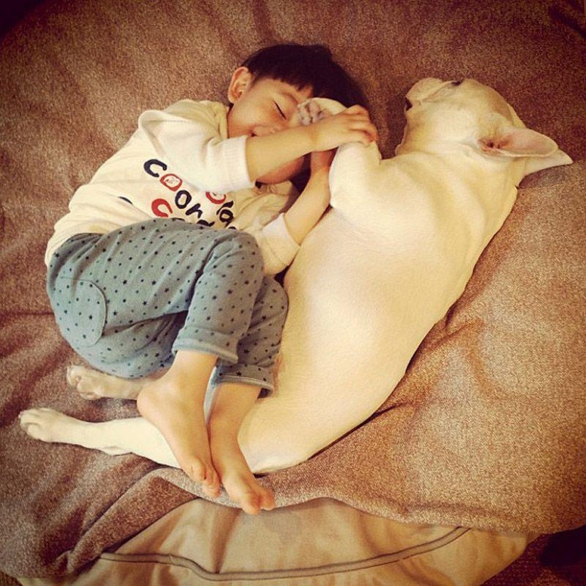 43 most touching Instagrams of 2013