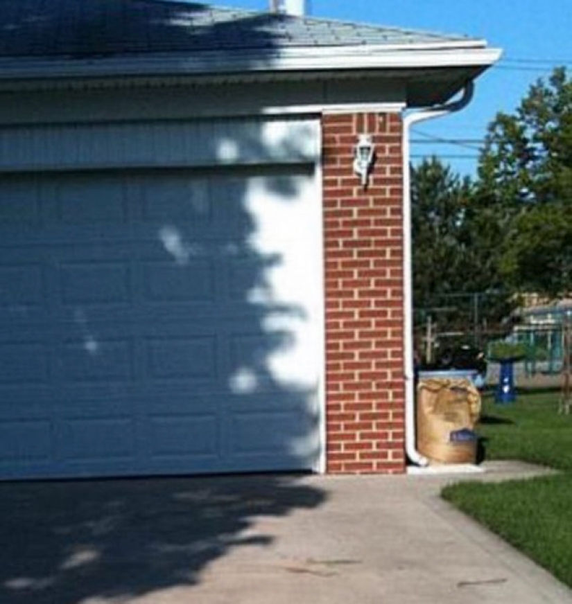 45 incredible shadows that will force you to look at them twice