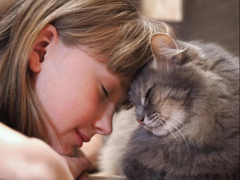 5 formas de demostrarle tu amor a tu gato