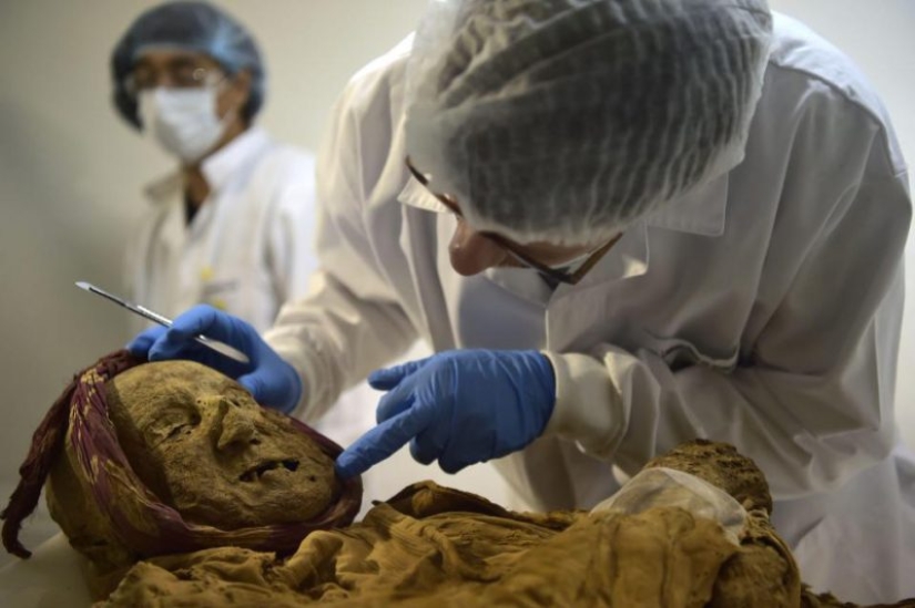 500-year-old mummy of a monk can give the answer to why we suffer from rheumatism