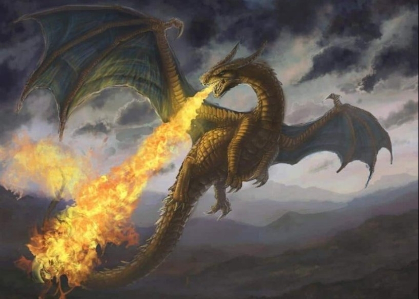 6 tipos de dragones que existen en la vida real