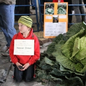 7 giant vegetables-record holders