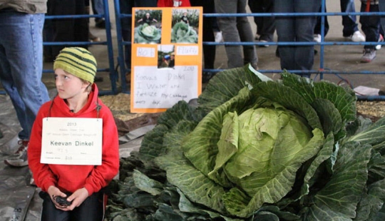 7 giant vegetables-record holders