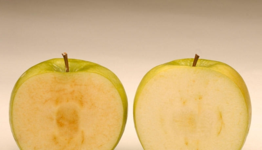 7 GMO foods that will blow your mind