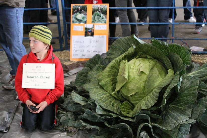 7 poseedores de récords de vegetales gigantes