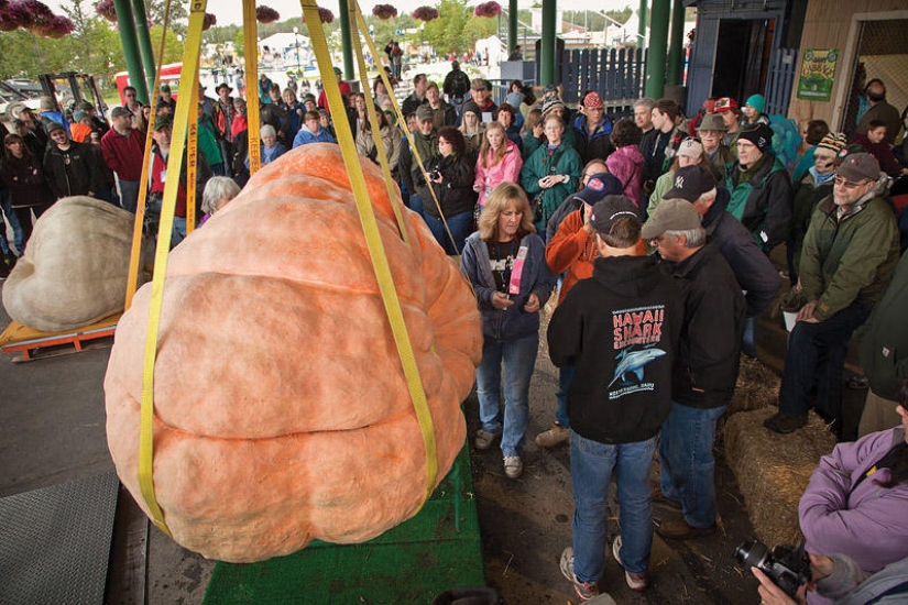 7 poseedores de récords de vegetales gigantes