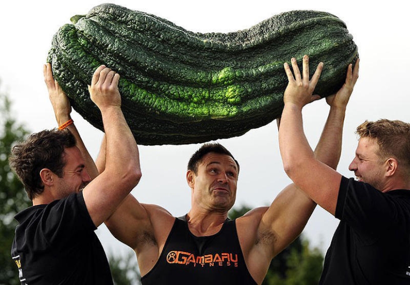 7 poseedores de récords de vegetales gigantes