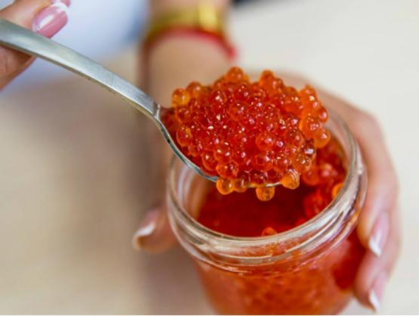 7 reglas de la elección de caviar rojo para la mesa de Navidad