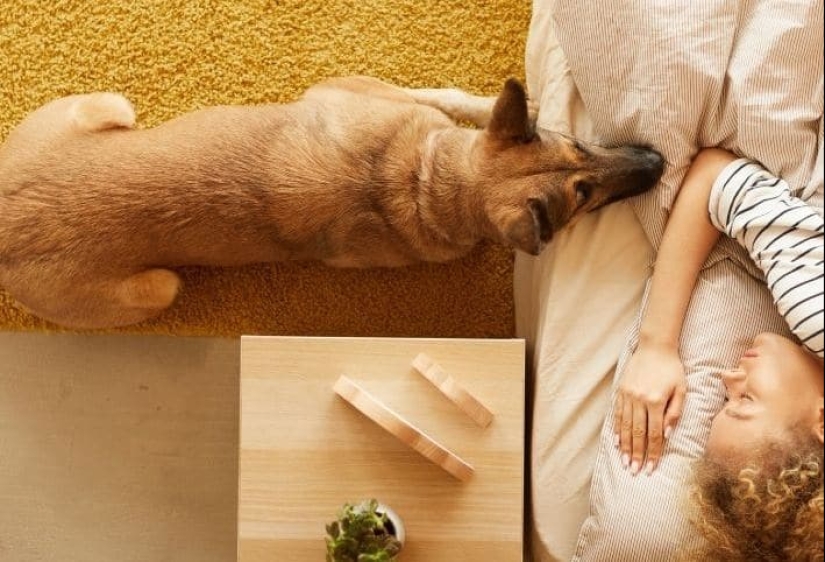 7 reglas por las cuales un perro elige a su dueño cuando vive en una familia
