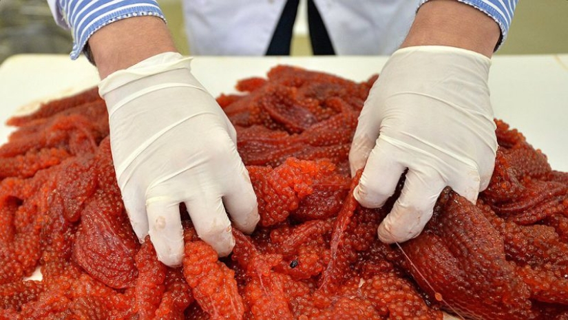 7 rules of choosing red caviar for the Christmas table