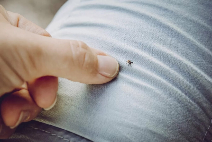 7 tips on how to avoid a tick bite