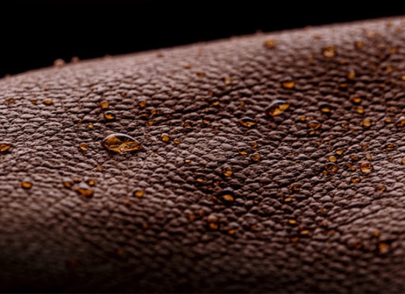 8 maneras de distinguir de cuero genuino de la hecha por el hombre