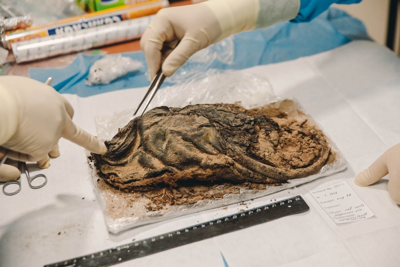 900-year-old mummy of the "Polar Princess" was unearthed in Siberia