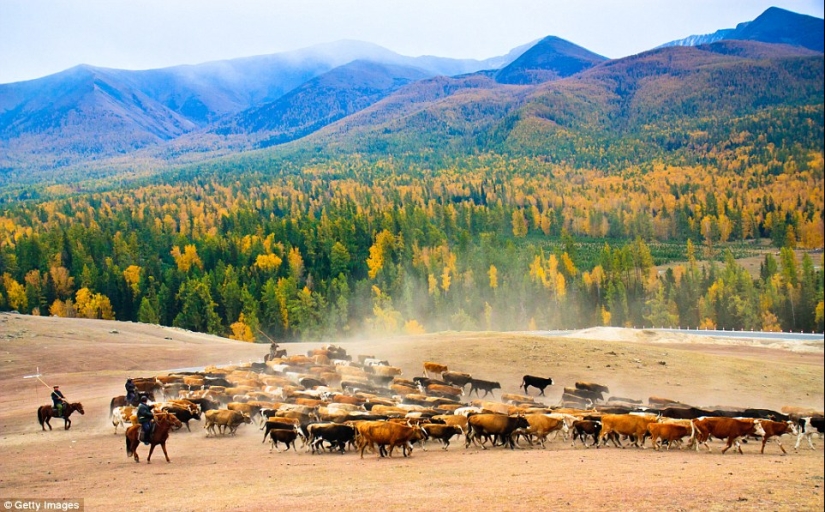 ¿A dónde fueron todos? La increíble belleza de China sin turistas