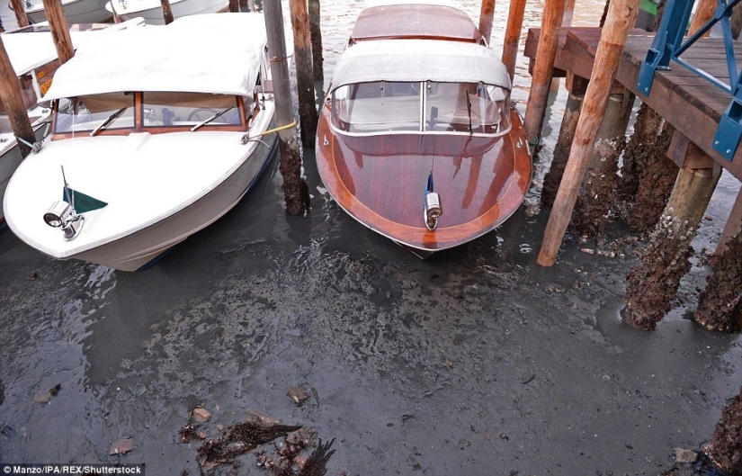 A dónde va el agua de los canales de Venecia