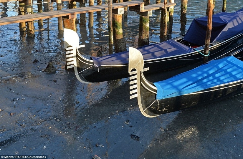 A dónde va el agua de los canales de Venecia