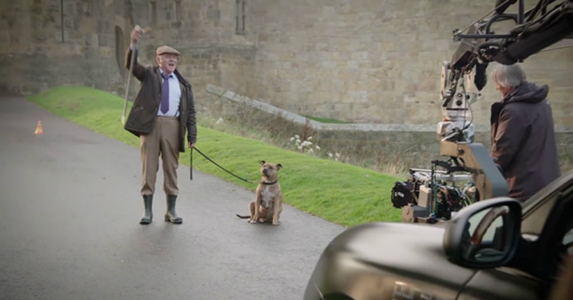 A dog that has not attracted 18 thousand visitors to the shelter for 6 years has become a movie star