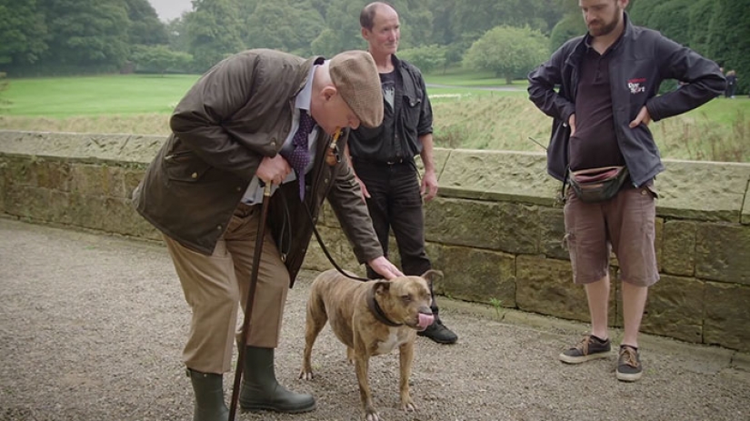 A dog that has not attracted 18 thousand visitors to the shelter for 6 years has become a movie star