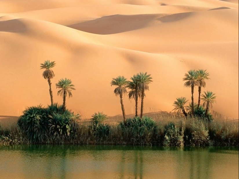 A fabulous oasis in the African desert: Ubari lakes