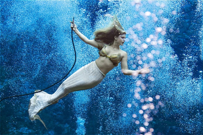 A fairy tale in reality: 7 places where you can see mermaids in real life
