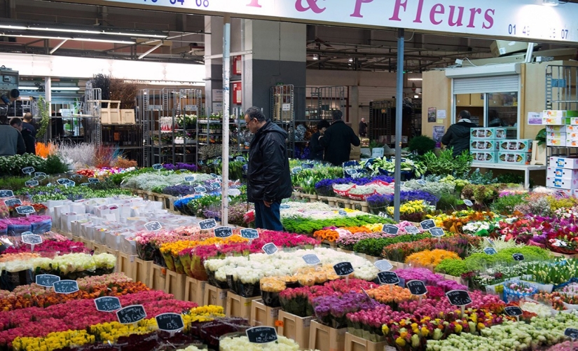 A giant market where the best French chefs shop