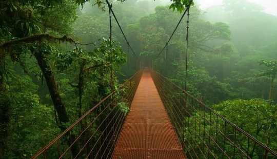 A great photo tour through the Amazon forests