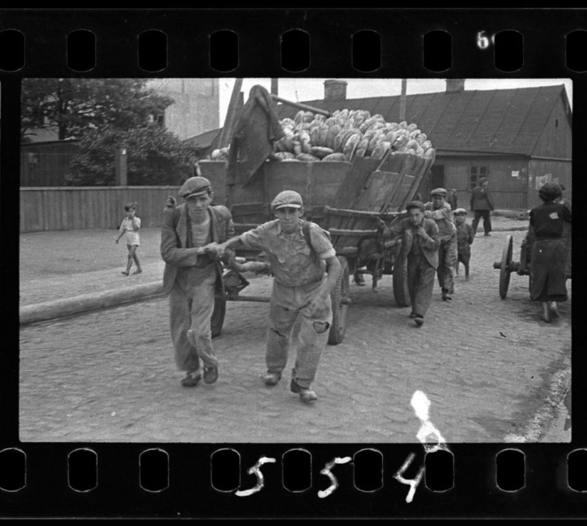 A Jewish photographer captured life in a ghetto in occupied Poland at his own risk