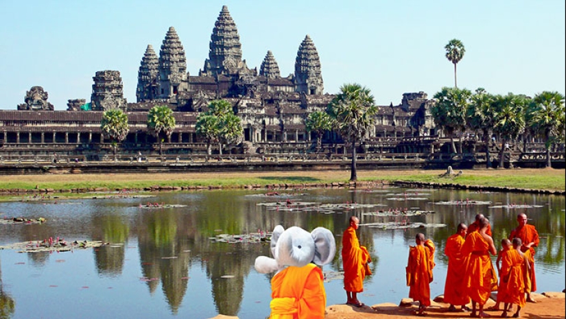 A lost stuffed elephant travels the world
