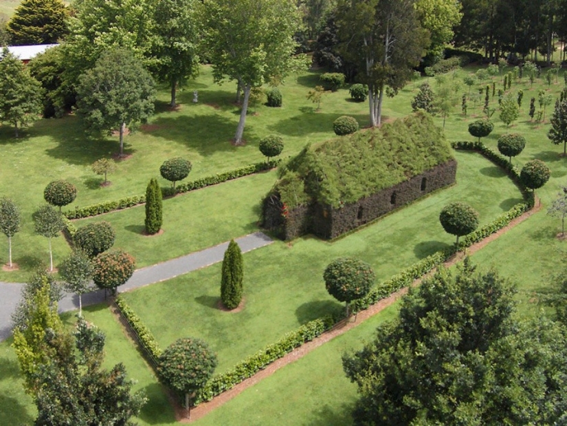 A man spent 4 years growing a church out of trees