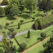 A man spent 4 years growing a church out of trees