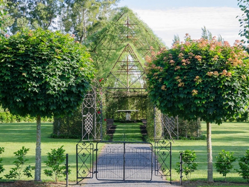 A man spent 4 years growing a church out of trees