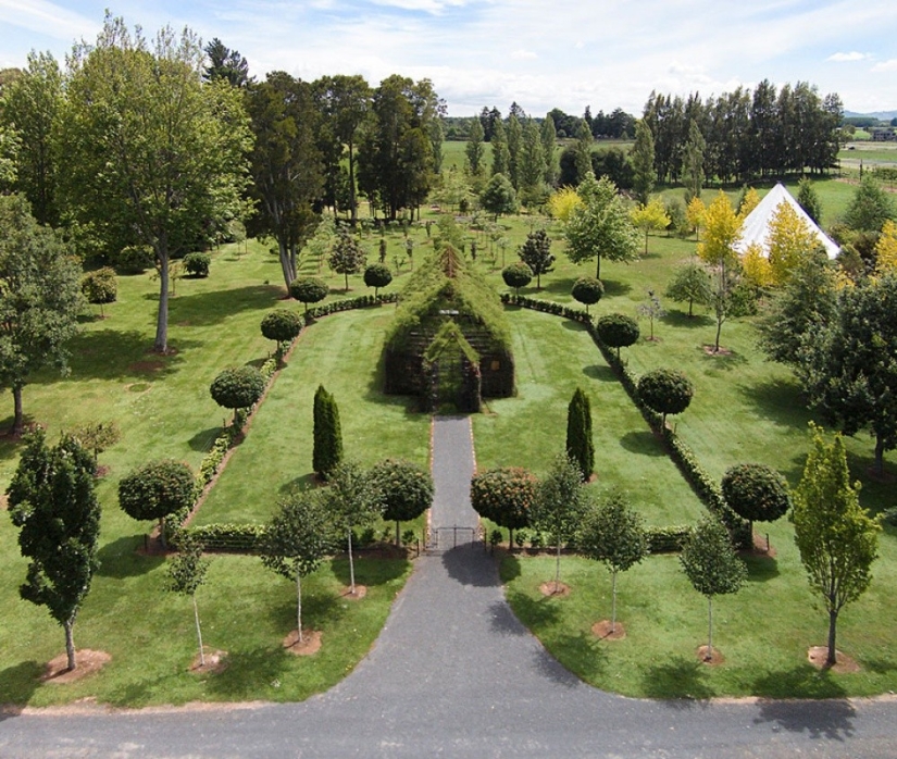 A man spent 4 years growing a church out of trees