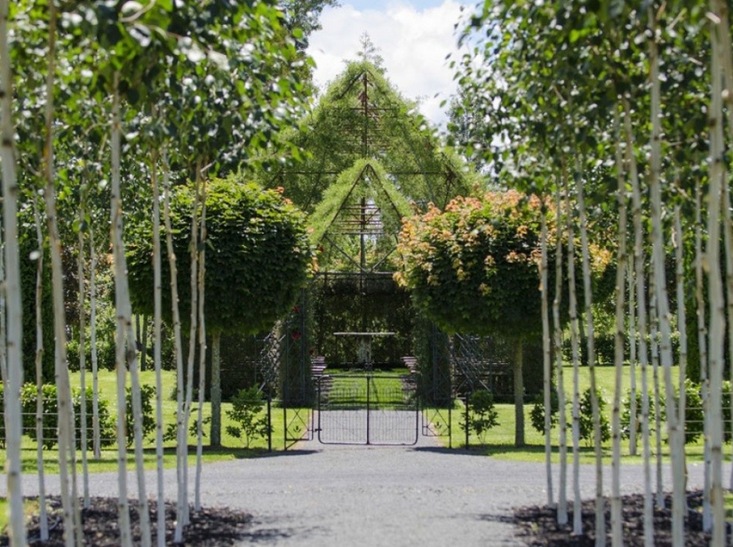 A man spent 4 years growing a church out of trees