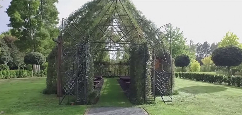 A man spent 4 years growing a church out of trees