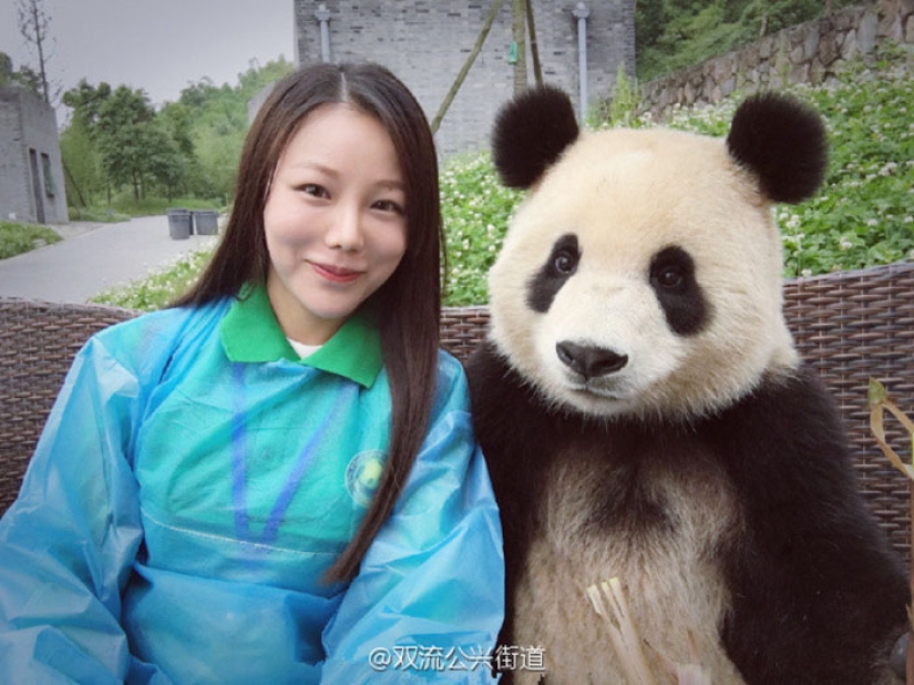 A panda that will beat anyone in terms of selfies