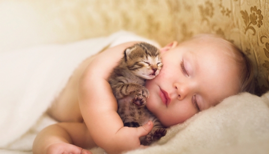 A post of unthinkable cuteness of cubs - human and not only! A post of unthinkable cuteness of cubs - human and not only!