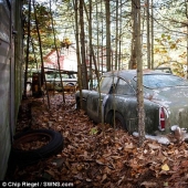 A rusty Aston Martin that has been standing in the forest for 40 years is being sold for 400 thousand dollars