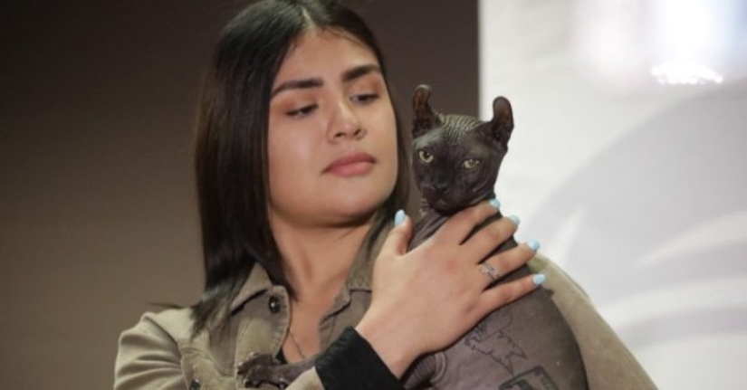 A tattooed cat has been released from a Mexican prison