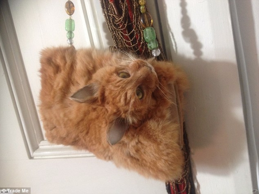 A taxidermist from New Zealand provoked a scandal by auctioning a handbag made of a cat